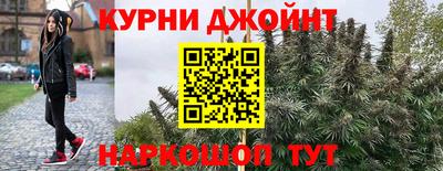 гидра Балахна