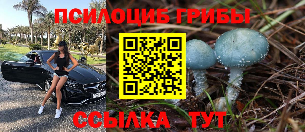 Псилоцибиновые грибы Богданович