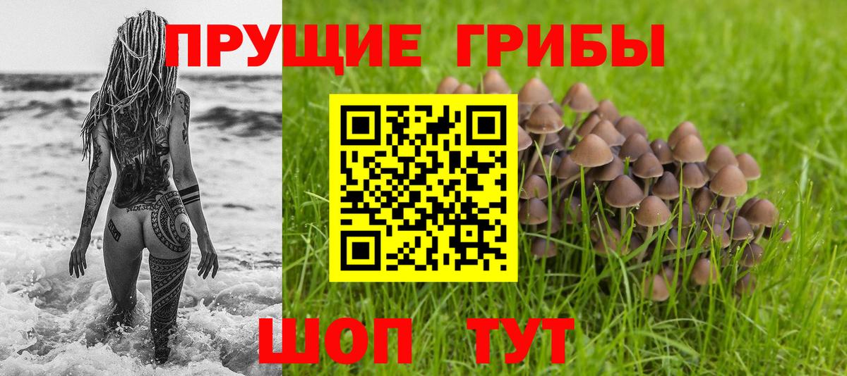 Богданович  Псилоцибиновые грибы Magic Shrooms  где купить наркотик  Вход с VPN  Псилоцибиновые грибы GOLDEN TEACHER 