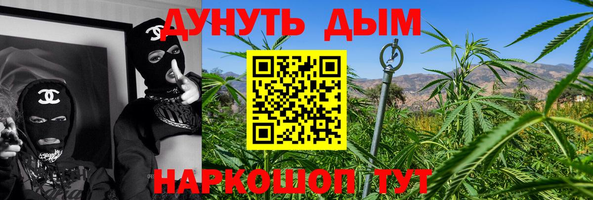 Бошки марихуана план Богданович